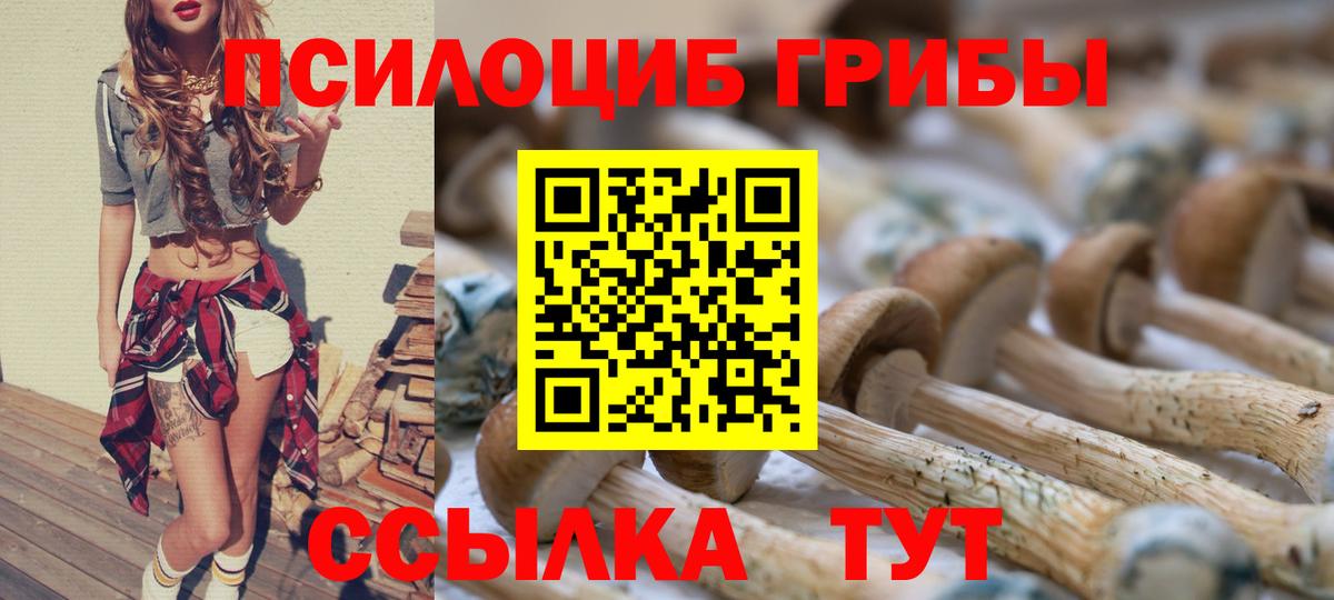 Псилоцибиновые грибы мухоморы  Вход с VPN  Химки 