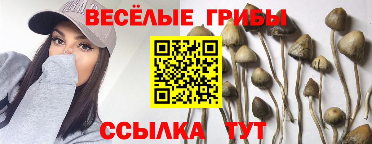 Псилоцибиновые грибы мицелий Химки
