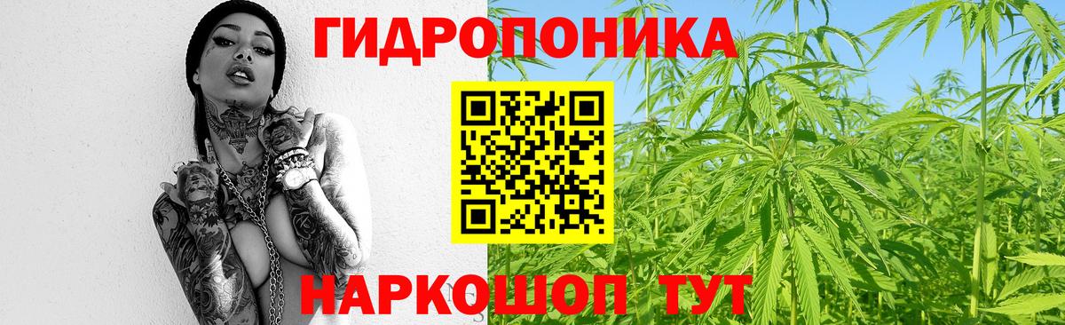 Каннабис планчик Химки